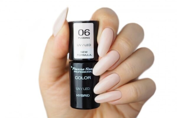 HYBRID COLOURED POLISH 06 PUDDING