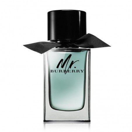 Mr Burberry
