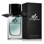 Mr Burberry
