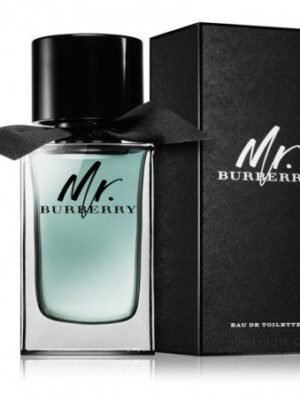 Mr Burberry